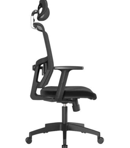 delphi-i-psdte-l-500-x-700_optimized