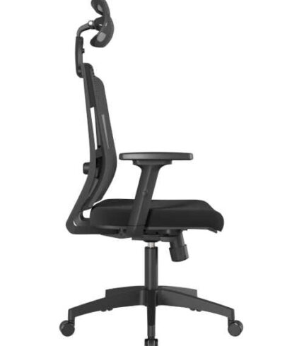 delphi-ii-psdte-l-500-x-700_optimized